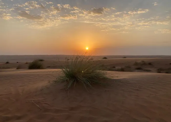 Desert Moments Camp
